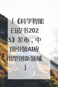 《科学智能白皮书2025》发布，中国引领AI应用型创新领域