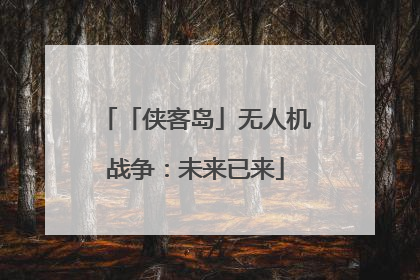 「侠客岛」无人机战争：未来已来