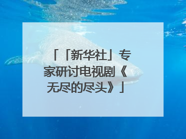 「新华社」专家研讨电视剧《无尽的尽头》