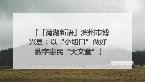 「蒲湖新语」滨州市博兴县：以“小切口”做好数字惠民“大文章”