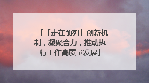 「走在前列」创新机制，凝聚合力，推动执行工作高质量发展
