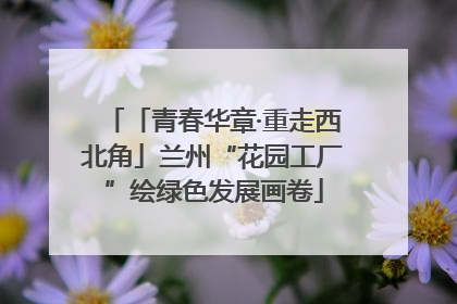 「青春华章·重走西北角」兰州“花园工厂”绘绿色发展画卷