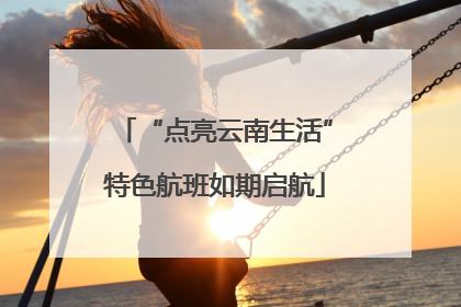 “点亮云南生活”特色航班如期启航