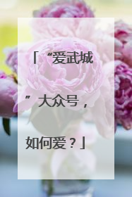 “爱武城”大众号，如何爱？