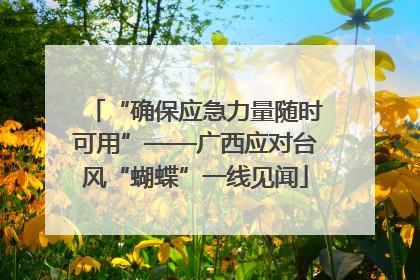 “确保应急力量随时可用”——广西应对台风“蝴蝶”一线见闻