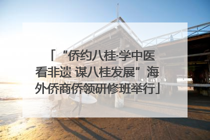 “侨约八桂·学中医 看非遗 谋八桂发展”海外侨商侨领研修班举行