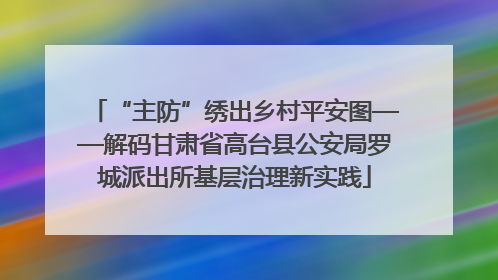 “主防”绣出乡村平安图——解码甘肃省高台县公安局罗城派出所基层治理新实践