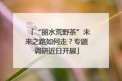 “丽水荒野茶”未来之路如何走？专题调研近日开展