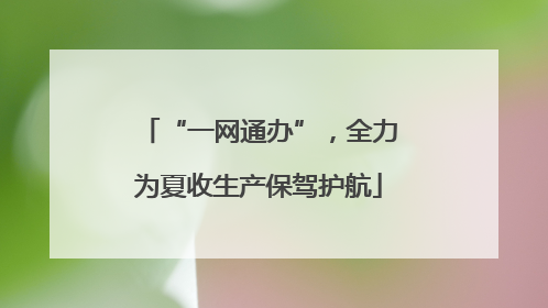 “一网通办”，全力为夏收生产保驾护航