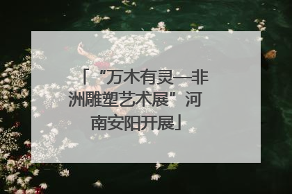 “万木有灵—非洲雕塑艺术展”河南安阳开展