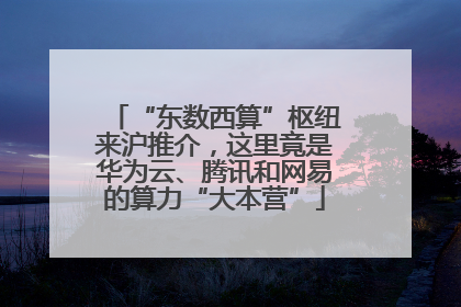 “东数西算”枢纽来沪推介，这里竟是华为云、腾讯和网易的算力“大本营”