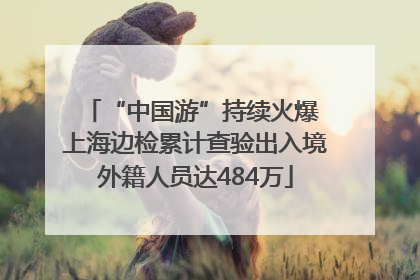 “中国游”持续火爆 上海边检累计查验出入境外籍人员达484万