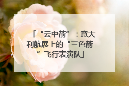 “云中箭”：意大利航展上的“三色箭”飞行表演队