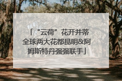 “云荷”花开并蒂 全球两大花都昆明&阿姆斯特丹强强联手