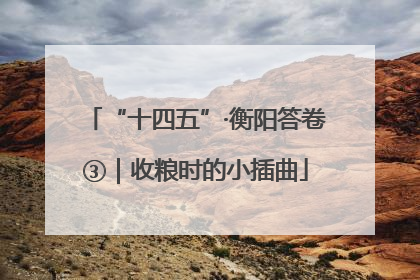 “十四五”·衡阳答卷③｜收粮时的小插曲