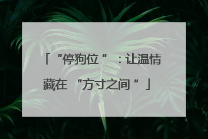 “停狗位 ”：让温情藏在 “方寸之间 ”