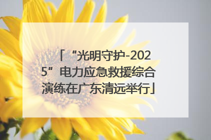 “光明守护-2025”电力应急救援综合演练在广东清远举行