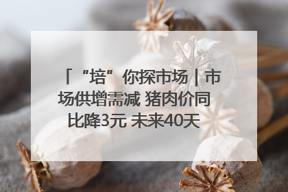 “培”你探市场｜市场供增需减 猪肉价同比降3元 未来40天便宜猪肉敞开吃