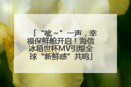 “呲～”一声，幸福保鲜舱开启！海信冰箱世杯MV引爆全球“新鲜感”共鸣