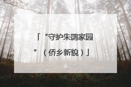 “守护朱鹮家园”（侨乡新貌）