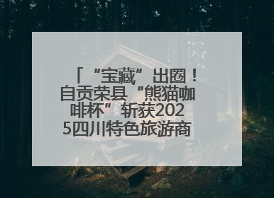 “宝藏”出圈！自贡荣县“熊猫咖啡杯”斩获2025四川特色旅游商品大赛铜奖