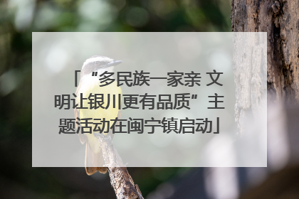 “多民族一家亲 文明让银川更有品质”主题活动在闽宁镇启动