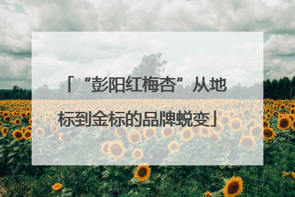 “彭阳红梅杏”从地标到金标的品牌蜕变