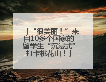 “很美丽！”来自10多个国家的留学生“沉浸式”打卡桃花山！