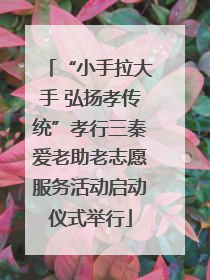 “小手拉大手 弘扬孝传统”孝行三秦爱老助老志愿服务活动启动仪式举行