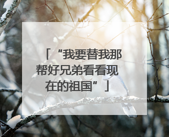“我要替我那帮好兄弟看看现在的祖国”