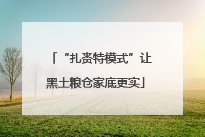 “扎赉特模式”让黑土粮仓家底更实