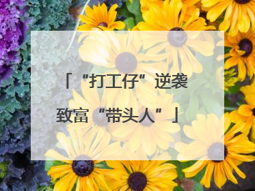 “打工仔”逆袭致富“带头人”