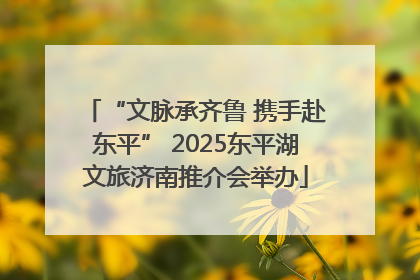 “文脉承齐鲁 携手赴东平” 2025东平湖文旅济南推介会举办