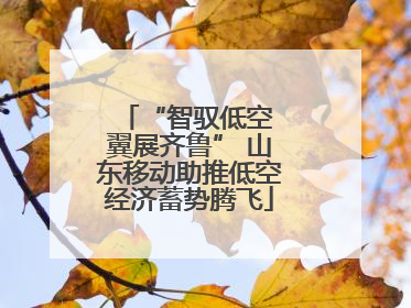 “智驭低空 翼展齐鲁” 山东移动助推低空经济蓄势腾飞