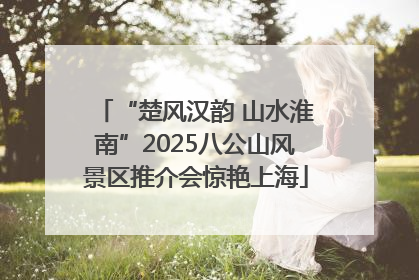 “楚风汉韵 山水淮南”2025八公山风景区推介会惊艳上海