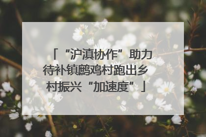 “沪滇协作”助力待补镇鹧鸡村跑出乡村振兴“加速度”