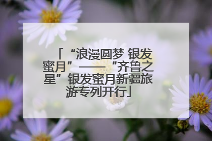 “浪漫圆梦 银发蜜月”——“齐鲁之星”银发蜜月新疆旅游专列开行