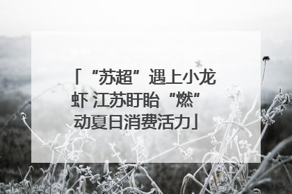 “苏超”遇上小龙虾 江苏盱眙“燃”动夏日消费活力