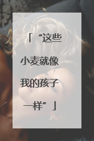 “这些小麦就像我的孩子一样”