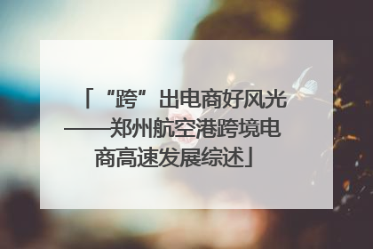 “跨”出电商好风光——郑州航空港跨境电商高速发展综述