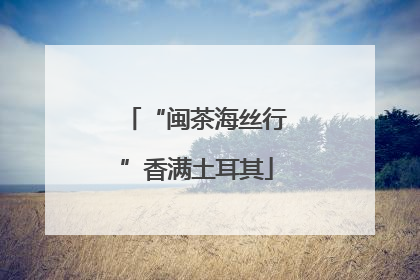 “闽茶海丝行”香满土耳其
