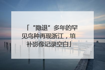 “隐退”多年的罕见鸟种再现浙江，填补影像记录空白