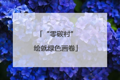 “零碳村” 绘就绿色画卷