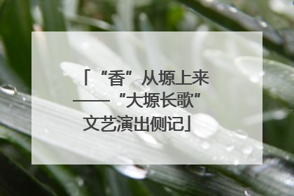 “香”从塬上来——“大塬长歌”文艺演出侧记