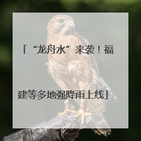 “龙舟水”来袭！福建等多地强降雨上线