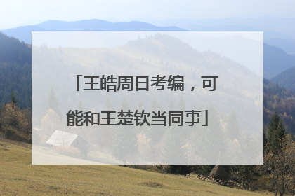 王皓周日考编，可能和王楚钦当同事