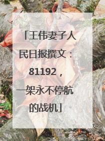 王伟妻子人民日报撰文：81192，一架永不停航的战机
