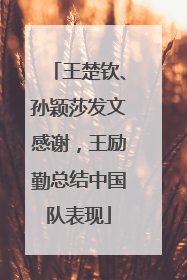 王楚钦、孙颖莎发文感谢，王励勤总结中国队表现