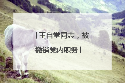 王自堂同志，被撤销党内职务