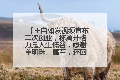 王自如发视频宣布二次创业，称离开格力是人生低谷，感谢董明珠、雷军，还回应了“工资条”：清楚自己要什么……
